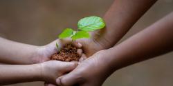 Featured Image for Darwin Green's Plant & Seed Exchange