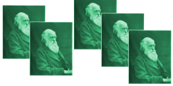 Featured Image for Darwin Green 2&3 Drop-In Consultation
