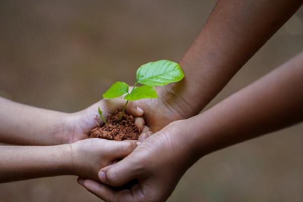 Featured Image for featured-plant-get.jpg