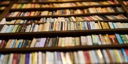 Featured Image for Library Survey: Residents' Preferences