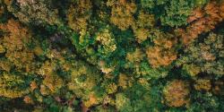 Featured Image for Community Focus Meeting (16 June 2026) - Central Park
